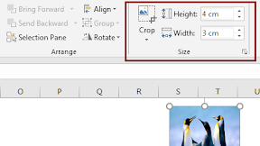 Mengatur Ukuran Gambar Ke 3 x 4 cm ( Pas Fhoto ) Dalam Excel